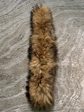 Real Ranch fox / raccoon Fur