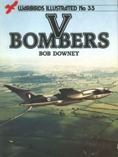 WARBIRDS ILLUSTRATED 35 RAF