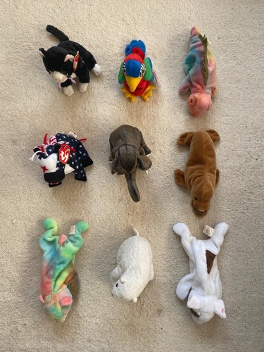 Beanie babies bundle - x9,