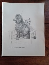 1935 double sided dog poodle - double,