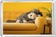 AA Dog Fridge Magnet relaxing