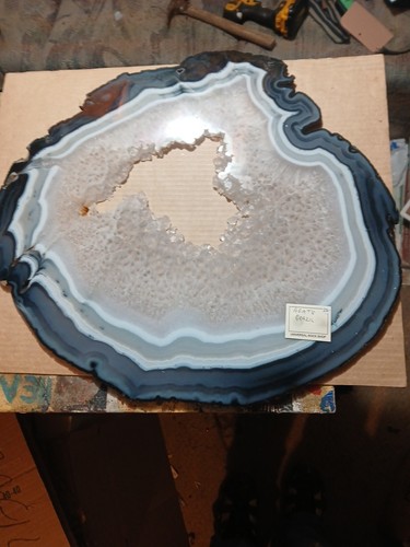 5lb x large - 6.5lb, 19"