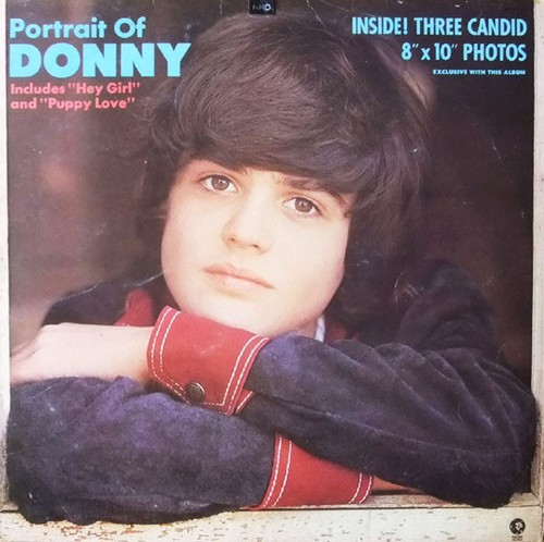Donny osmond portrait - donny, of