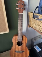 Donner Ukulele Bundle With