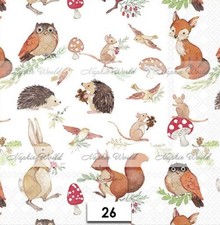 (26) TWO Paper LUNCHEON