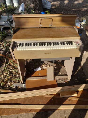 1960 yamaha 49s reed - 1960,