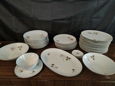 Edelstein Bavaria Germany Rose 38 Piece Part Set VGC Plates Bowls Etc Beautiful 