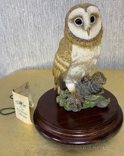 Leonardo bird the barn owl - leonardo,