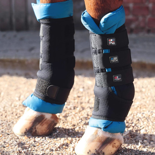 Premier equine magni teque - equine, magni-teque