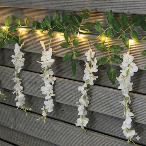 White wisteria solar - wisteria,