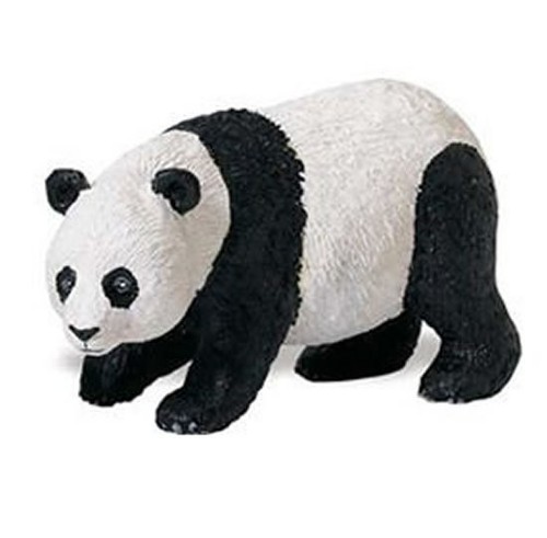 Panda wild animal safari - panda,