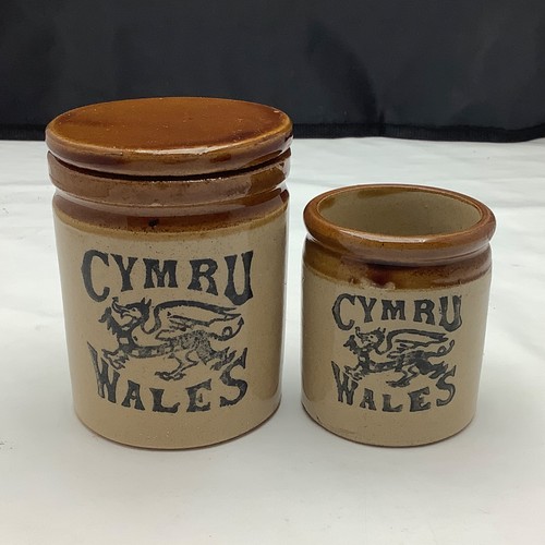 Vintage welsh stoneware - welsh,