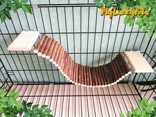 Natural ladder for chinchilla