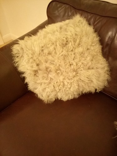 Mongolian sheepskin cushion - ,