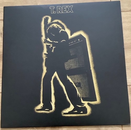 Rex electric warrior vinyl - rex,