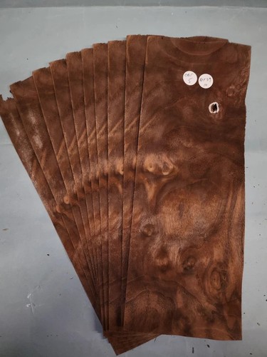American walnut burr - walnut, veneer