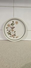 A Single Vintage M&S Autumn Leaves Side Plate 17cm