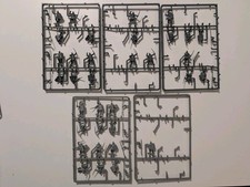 Warriors Of Minas Tirith x34