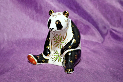 Royal crown derby - derby, giant