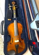 Viola