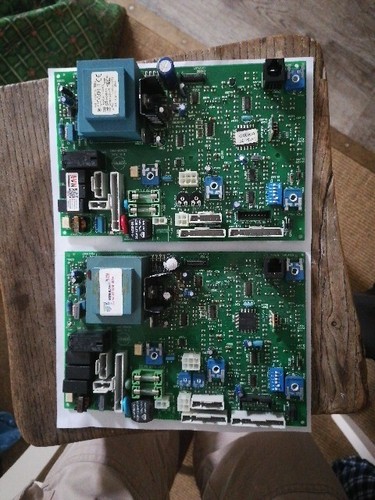 Ariston microgenus mffi - ariston,