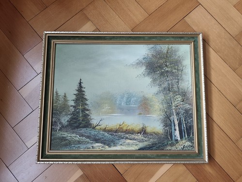Winter tree lake - , landscape
