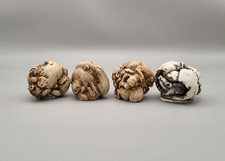 Four Netsuke - Animal
