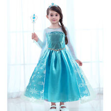 Girls Princess Fancy Dress