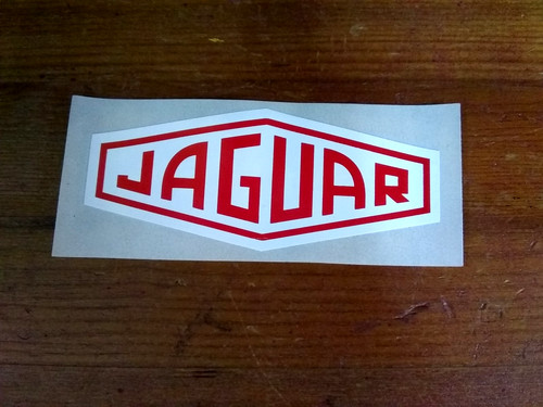 Jaguar nose racing - nose,