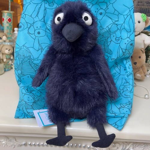 2025 hocus crow - hocus, raven