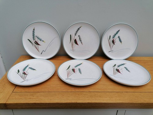 Set denby greenwheat side - 6,