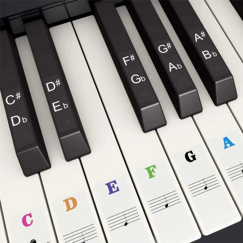 Piano keyboard note labels - note,