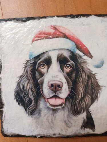 Springer spaniel christmas - springer,