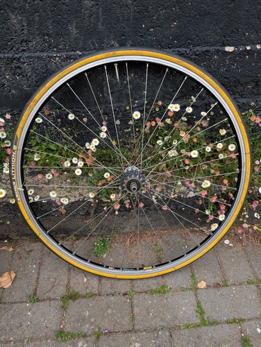 Mavic open elite alloy rim - open,