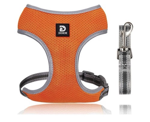 Dociote dog harness lead - dociote,