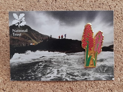 National trust giants causeway - trust,