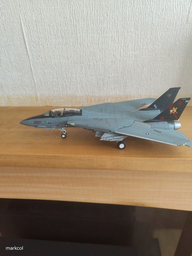 Century wings f14 - century, 1/72
