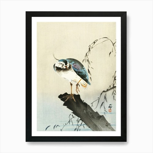 Lapwing tree stump - lapwing, (1900