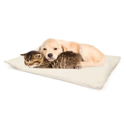 Self heating pet - self, dog