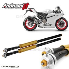 DUCATI 899 / 959 Panigale