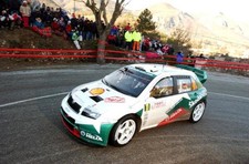 Armin Schwarz GER Skoda Fabia