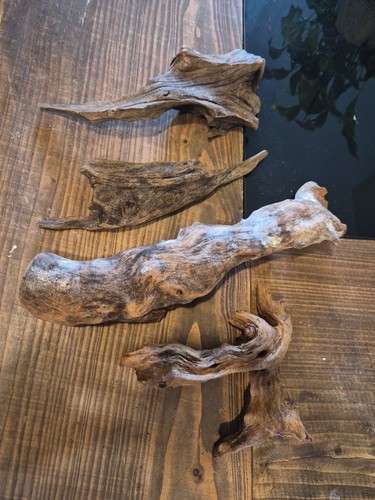 Bundle bogwood driftwood - bundle, 4