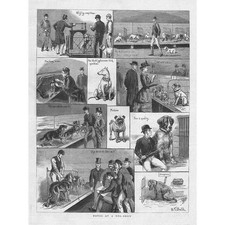 Scenes at a Dog Show - Antique