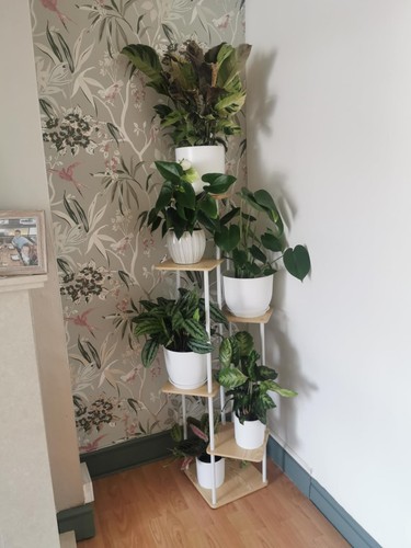 Tier indoor plant stand tall - tier,