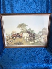 Framed herring print of - framed,