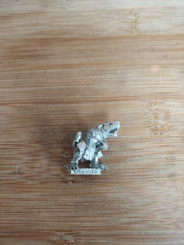 Skaven stormvermin chaos - stormvermin, 2