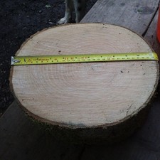 Ash firewood chopping block - chopping,