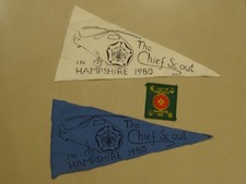 The Chief Scout in Hampshire