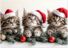 Trio of Festive Kittens in