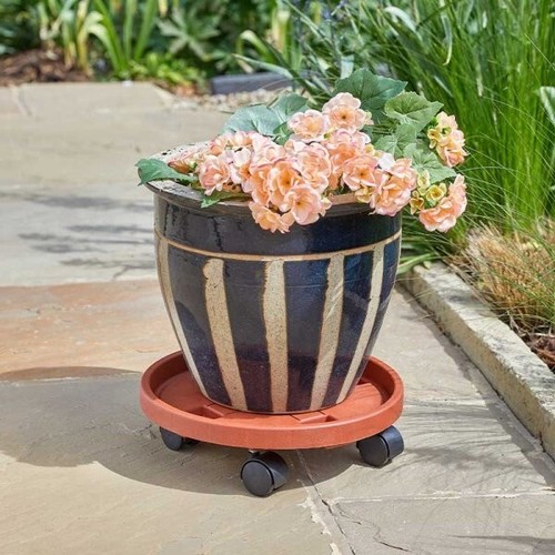 Plant pot caddy - pot,